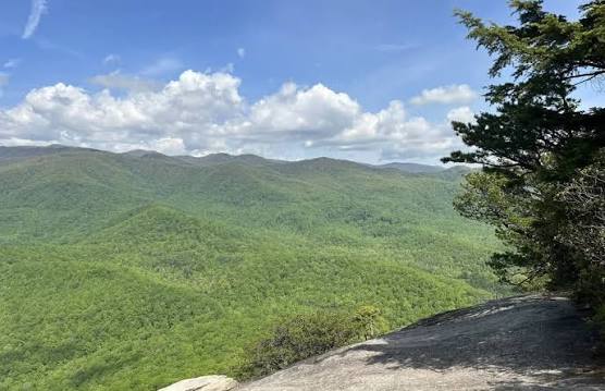Looking Glass Rock Trail, North Carolina - 10,641 Reviews, Map | AllTrails