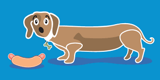 Pet lodge pet resort alpharetta • pet lodge pet resort alpharetta photos • pet lodge pet resort alpharetta location •. Dog Daycare Boarding And Grooming In Alpharetta Ga The Barker Lounge