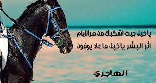 عبارات عن الخيل إقرأ عبارات عن الخيل و شعر عن الخيل والحب