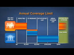 Out of pocket after you pay the deductible amount, your insurer will begin paying forth their portion of the. How Health Insurance Works Youtube