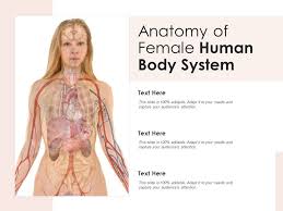 The sum of human experience has resulted in the accumulation of 58 solar years in space and a much better understanding of how the human body adapts. Anatomy Of Female Human Body System Presentation Graphics Presentation Powerpoint Example Slide Templates
