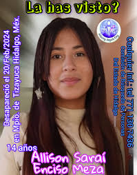 DESAPARECIDA, LA HAS...