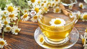 Jika anda bingung memilihnya, kami akan menjelaskan cara memilih teh chamomile melalui artikel ini. Cara Membuat Teh Bunga Chamomile