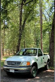 Image result for Light Green 1999 Truck