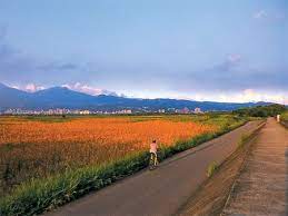 關渡 金色水岸 八里左岸自行車道 river bank country roads travel