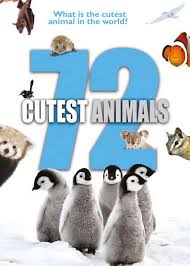 Check Out 72 Cutest Animals On Netflix Cute Animals Animal Tv Worlds Cutest Animals
