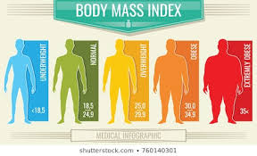 weight chart images stock photos vectors shutterstock