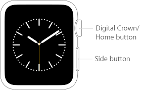 How To Use Your Apple Watch Digital Crown Iphone Watch Apple Watch