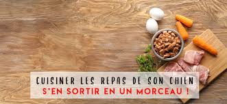 Je prépare tu prépares il prépare nous préparons vous préparez ils préparent. Cuisiner Des Recettes Maison Sans Compromettre La Sante De Son Chien
