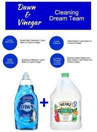 Pin On Natural Cleaners