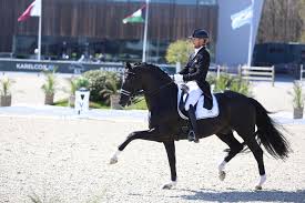 Nederland won geen medaille, maar eindigde op de vijfde plaats. Edward Gal And Toto Jr Are Back To Victory In Sentower Equnews International