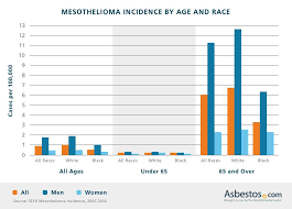 mesothelioma incidence number of cases trends by demographic