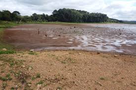 Estiagem prolongada faz governo do Paraná decretar estado de emergência