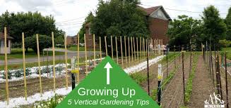 Five Vertical Gardening Tips