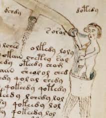 1912 Yilinda Wilfrid M Voynich Isimli Bir Sahafin Ortaya Cikardigi Kitabin En Ilginc Ozelligi Yazildigi Dilin Hala Hangi Dil Oldugu Bilinmem Manoscritto Voynich