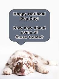 She devised this observational holiday to not only show appreciation for dogs but to also bring attention to the plight of abused and abandoned dogs. 20 National Dog Day Cards Ideas In 2021 Dog Days Cards Happy Dogs