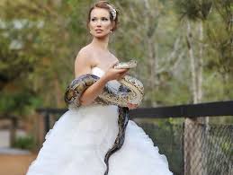 Odd World Snake Day Snake Of The Day Petslady Com Reptiles Wedding Pets Reptile Park