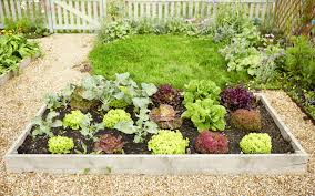 Check spelling or type a new query. How To Build A Raised Bed In One Weekend And What To Put In It The Telegraph