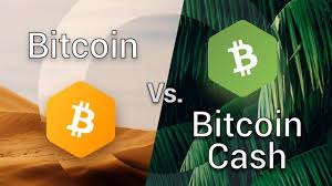 Let's discuss what just happened to bitcoin cash and how we move on. Btc Vs Bch Vs Bsv