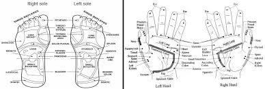 Pin On Reflexology Acupressure And Massage