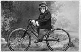 monkeys on bikes bicycle chimp vintage bicycles