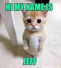 Meme Creator Funny Hi My Name Is Jeff Meme Generator At Memecreator Org My Name Is Memes Cute Cat