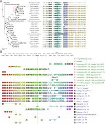 This is a profile preview from the pitchbook platform. Modeling Down Syndrome In Animals From The Early Stage To The 4 0 Models And Next Sciencedirect