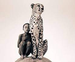 Animal Bonding Photography Animals Magical Animals Animal Photography