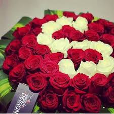 For More Stuff You Can Follow On Pinterest Kubra Yousuf Beautiful Roses Red Flowers Red Roses