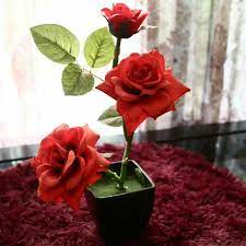 Maybe you would like to learn more about one of these? Bunga Mawar Cantik Perkebunan Di Carousell
