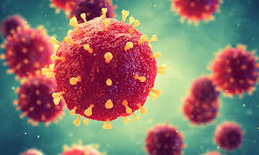 New study helps improve the understanding of bacteria and viruses