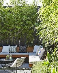 Interested in starting a bamboo business in 2021? Modernize Your Garden How To Grow Bamboo The Garden Glove