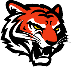 Cincinnati Bengals Primary Logo Illustration Tiger Logo Illustration Design