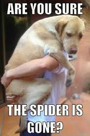 Clean jokes > funny cartoons > cartoons about animals and creatures. Funny Animal Quotes Clean Visitquotes