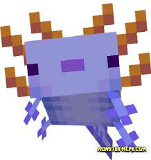 Leucistic, wild, cyan, and gold are all considered the common colorations of. Axolotls Replica Concept Add On 1 16 Minecraft Pe Addons