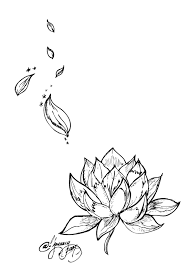 Ma quali sono gli altri fiori più di moda? Egiziano Di Loto Nelumbo Nucifera Tatuaggio Disegno Fiore Loto 546 774 Png Trasparente Scarica Gratis Arte Punto La Fotografia Monocromatica