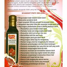 Khasiat pati delima untuk ibu mengandung. Cara Minum Jus Delima Gulsan Untuk Ibu Hamil