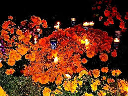 A time lapse of the marigold parade in the south valley of albuquerque, new mexico. Dia De Los Muertos Lifelessons A Blog By Judy Dykstra Brown