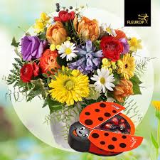 Küche alles gute zum geburtstag 20 jahre wandposter • poster 20 alles gute zum. Fleurop Schweiz Fleurop Ch Twitter