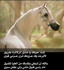 شعر عن الخيل رمزيات