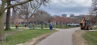 However, smaller trees have less blooms and are likely to lose them faster. Toronto Fences Trinity Bellwoods Cherry Blossoms Adds Enforcement During Bloom Period News
