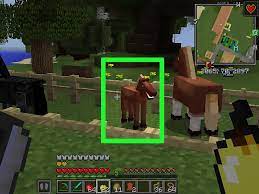 Unlike wolves and cats, the appearances of horses do not change once they have been tamed, though tame horses may be differentiated by giving them equipment. How To Breed Horses In Minecraft With Pictures Wikihow