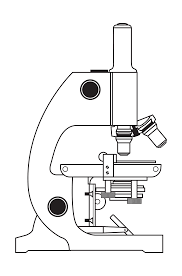 Microscope Without Coloring By Rejon Microscopic Science Tools Things Under A Microscope