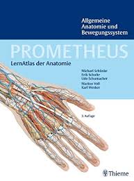 The nervous system is composed of excitable cells, called neurons, which are specialized for information processing and transmission. Prometheus Lernatlas Der Anatomie Allgemeine Anatomie Und Bewegungssystem Amazon De Schulte Erik Schumacher Udo Schunke Michael Voll Markus Wesker Karl H Bucher