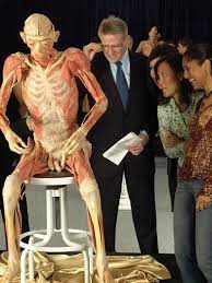 Organs in the body real. Our Body The Universe Within Universal Exhibition Group