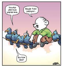 yuvayi disi kus yaparmis bizde toki yapiyor bu kim lan karikatur mizah matrak komik espri saka girgir komiksozler karikatur komik komik seyler