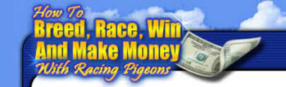 How to breed, race, win and make money download pdf. Racing Pigeons Ultimate Guide Review And Recommendations