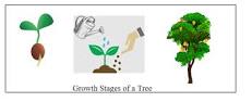 Image result for PROJECT REPORT ON AUTOBIOGRAPHY OF A TREE 2023 - 2024