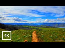 Heading Down Tom McCall Point Trail