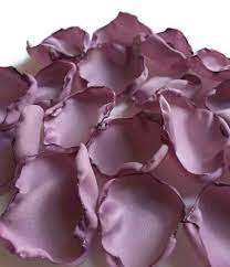 Dusty Purple Rose Petals Dusty Lavender Flower Petals Table Decoration Baby Shower Decor Bridal Shower Decor Purple Roses Wedding Table Decorations Purple Flower Girl Petals